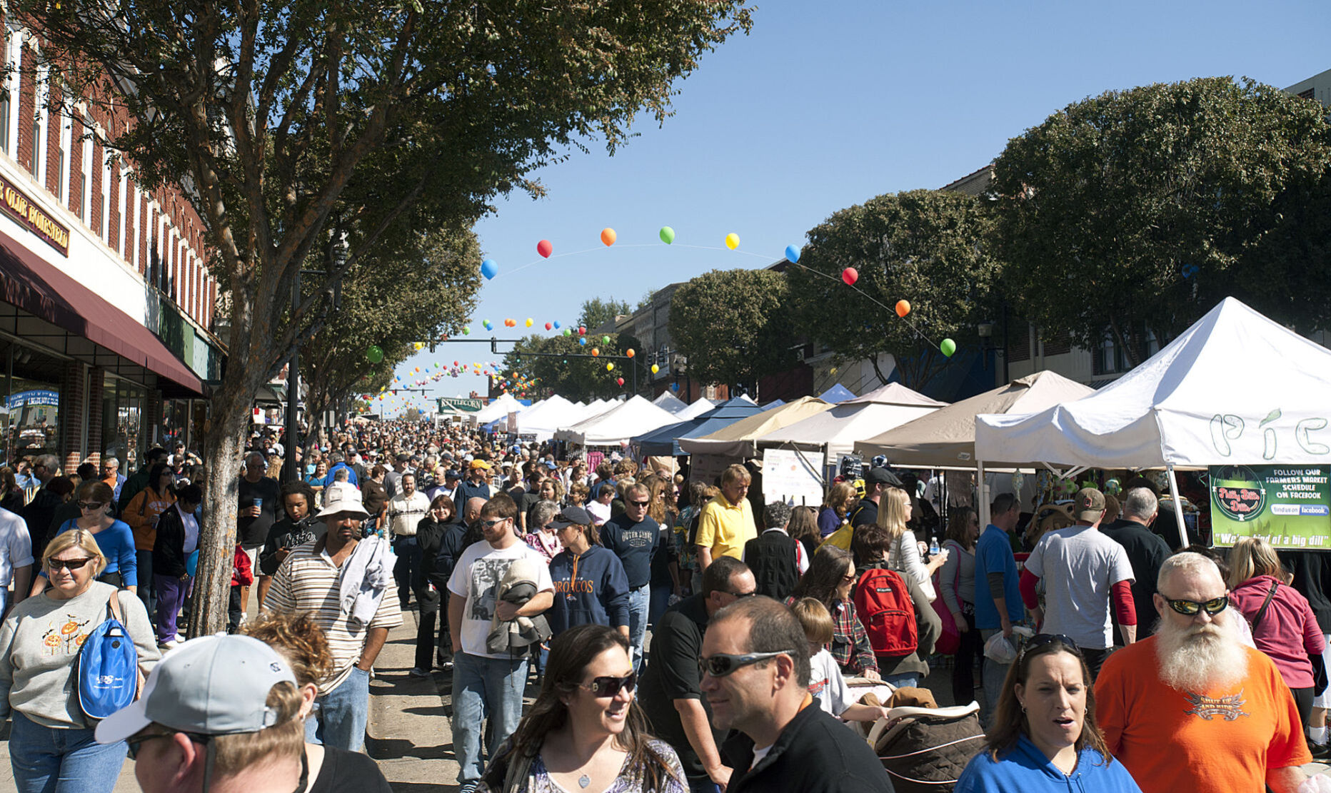 BARBECUE FESTIVAL 2011